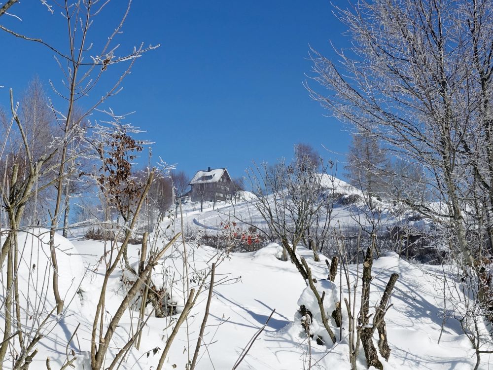 Blick auf Hohe Buche