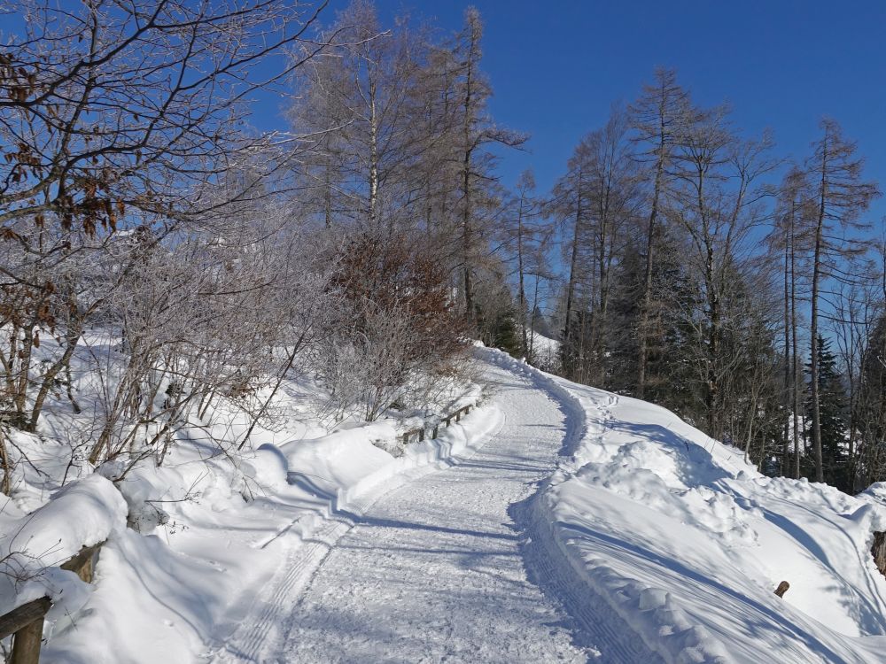 Alpenpanoramaweg