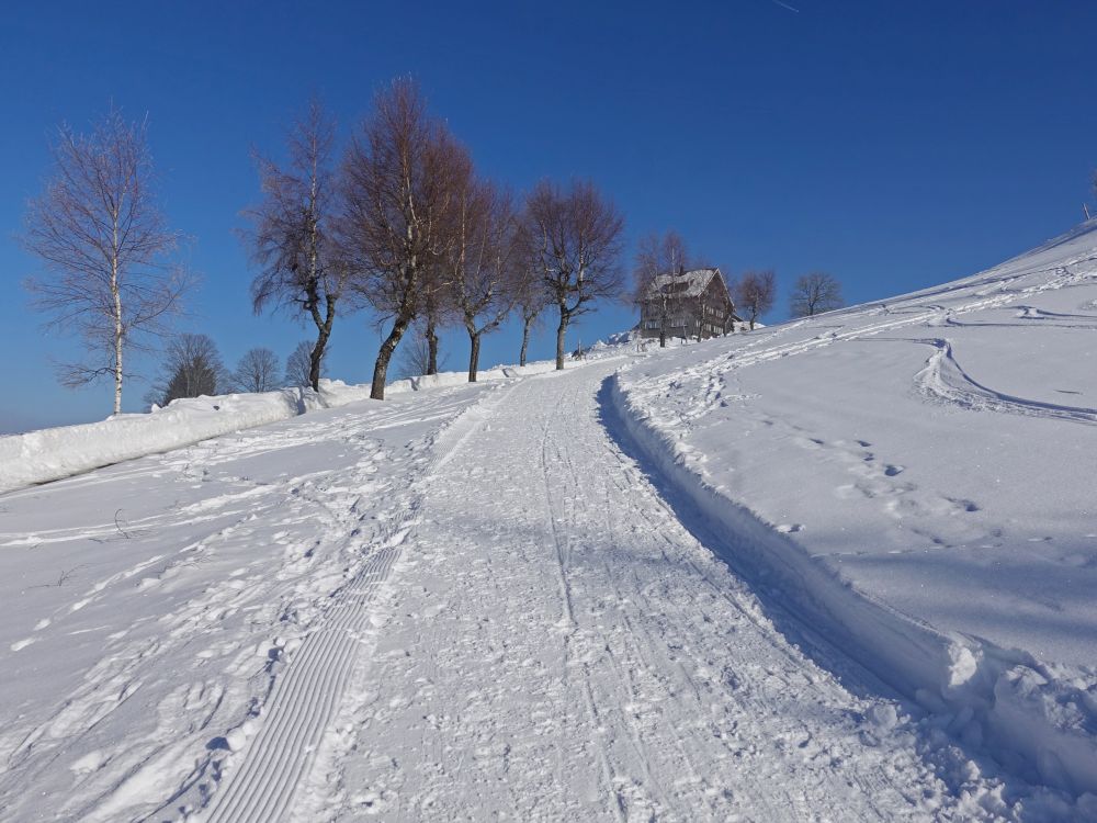 Blick auf Hohe Buche