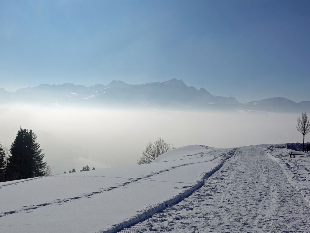 Säntisspitze überm Nebel