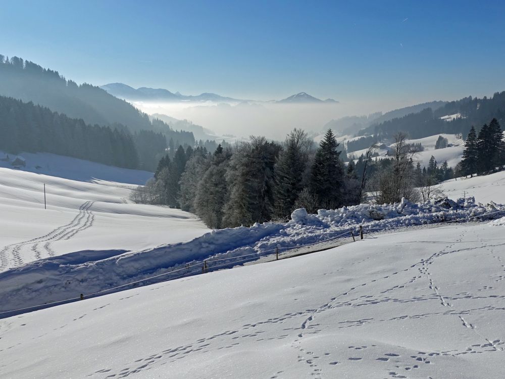 Nebel ins Tal Steinleuten