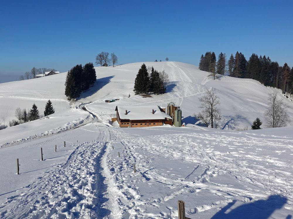 Stall unterhalb Chürstein