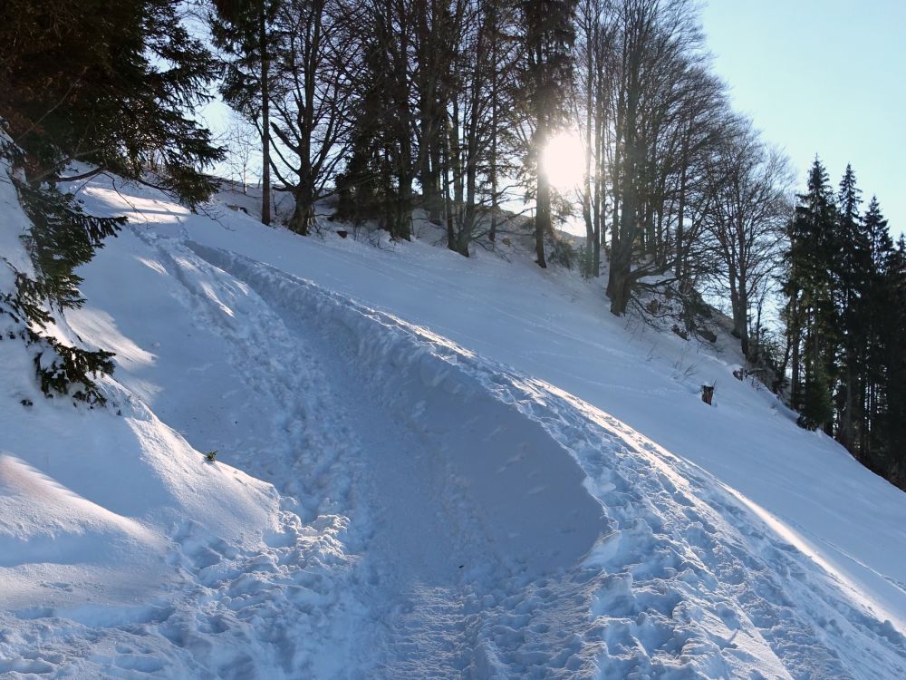 tiefe Spur im Schnee