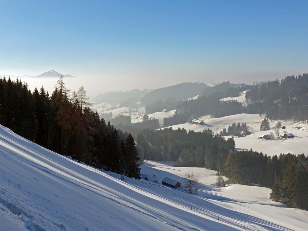 Blick ins Tal Steinleuten