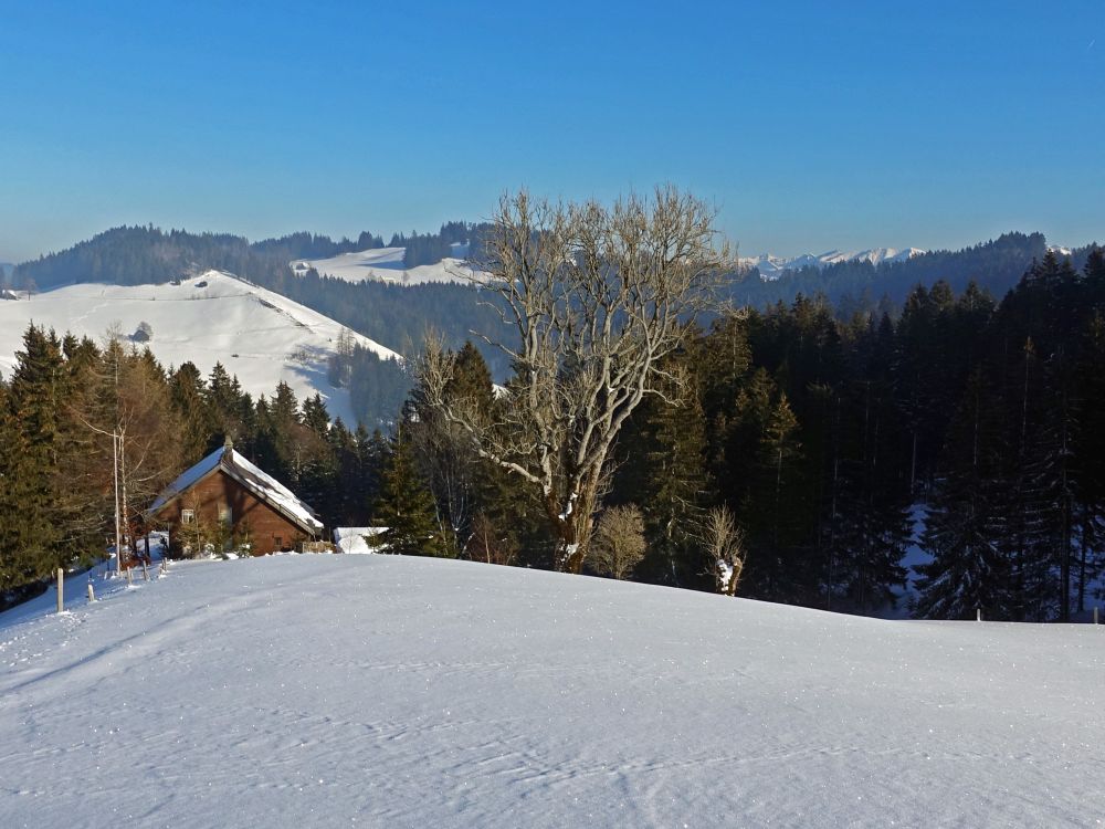 Winterlandschaft