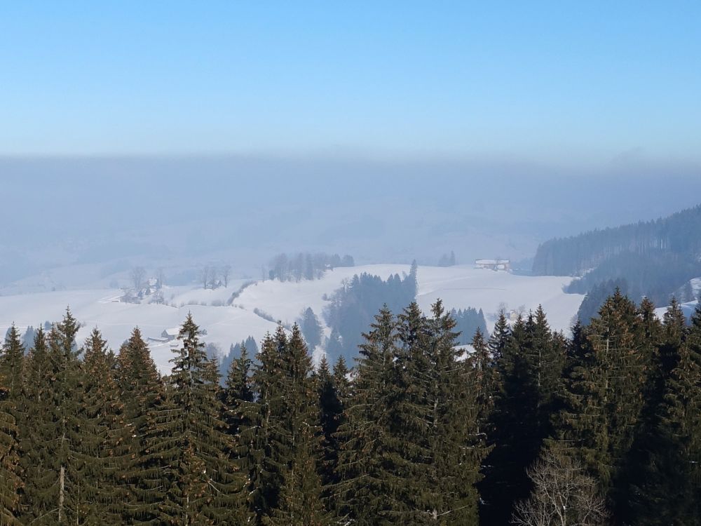 Nebel mit Obergrenze