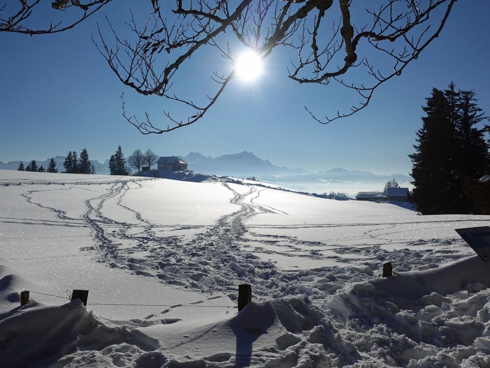 Obergäbris und Säntis im Gegenlicht