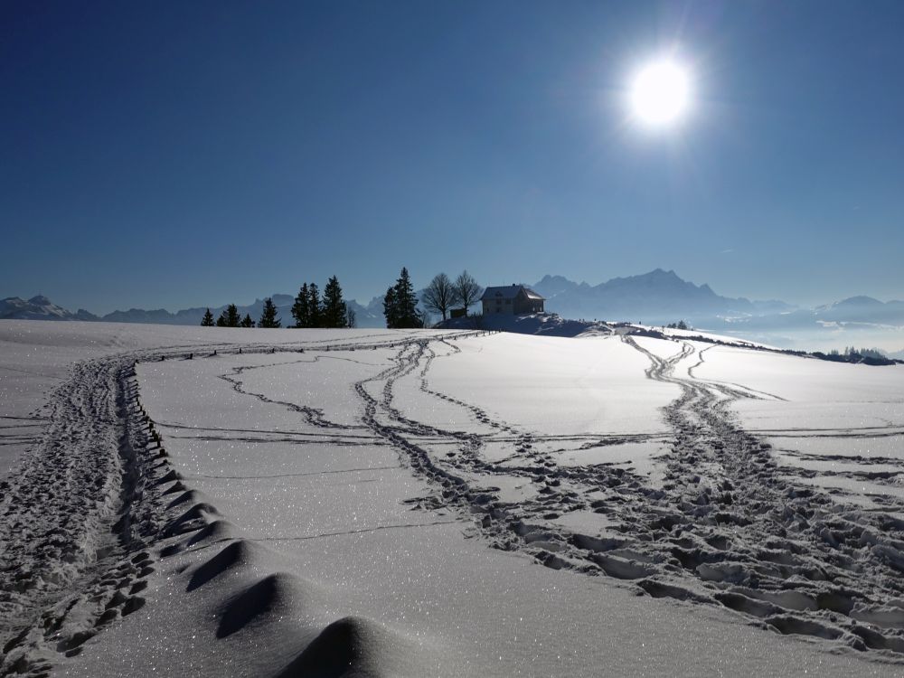 Obergäbris und Säntis im Gegenlicht