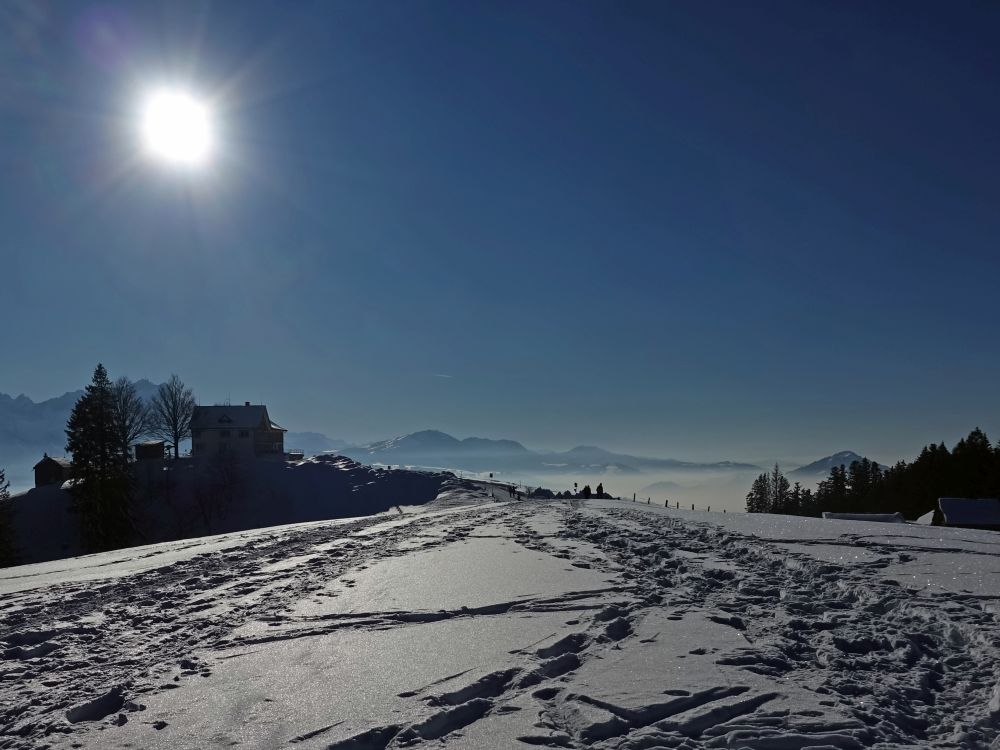 Obergäbris im Gegenlicht