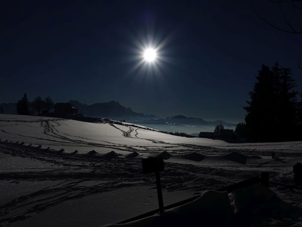 Obergäbris und Säntis im Gegenlicht