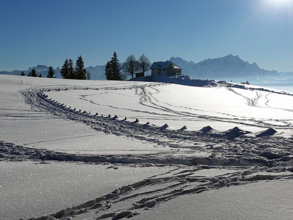 Obergäbris und Säntis im Gegenlicht