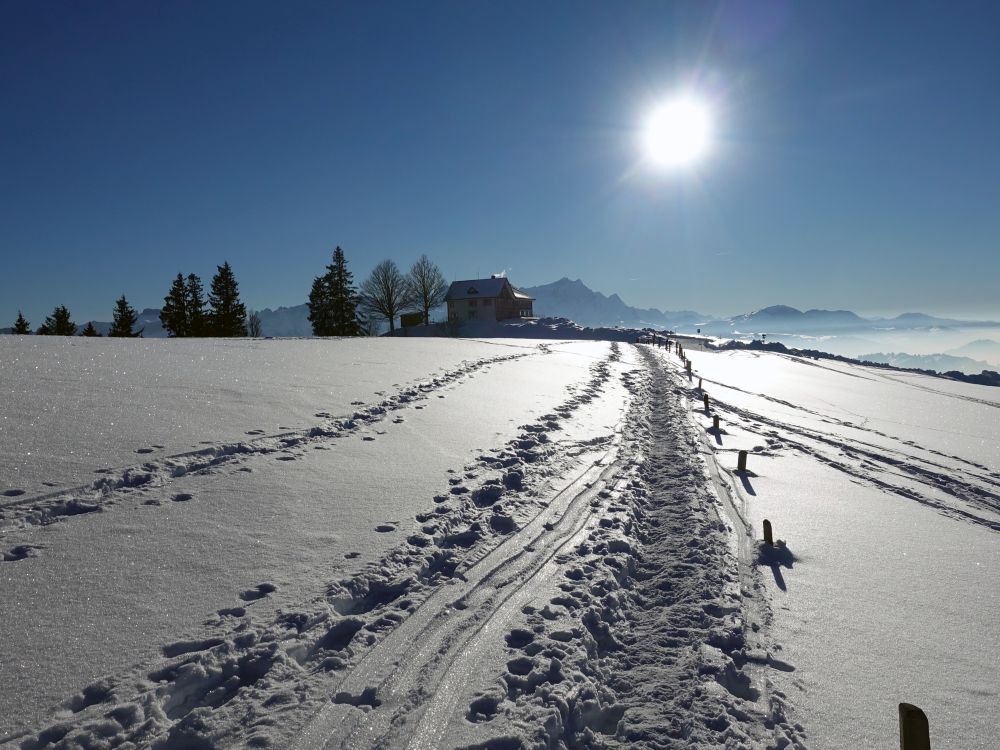 Obergäbris und Säntis im Gegenlicht