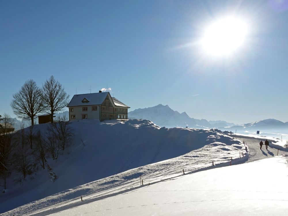 Obergäbris und Säntis im Gegenlicht