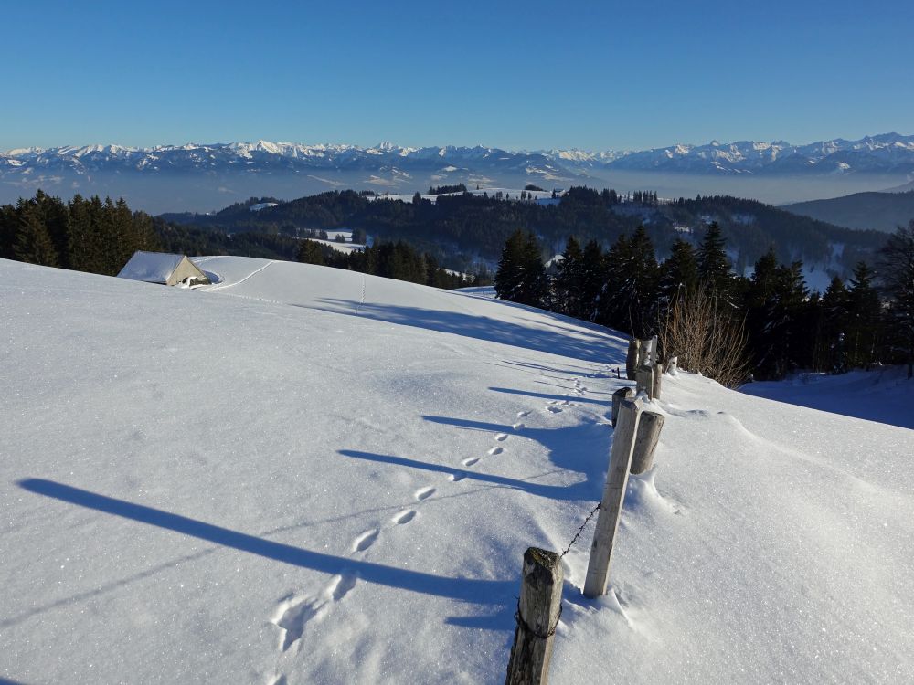 Blick auf die Österreichischen Alpen