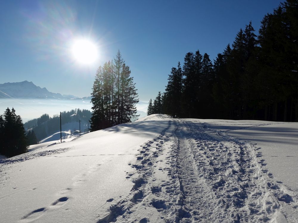 Sonne und Spuren im Schnee