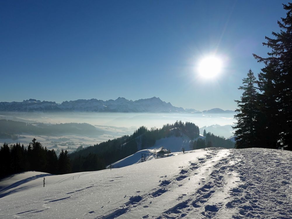 Blick Richtung Säntis mit Sonne