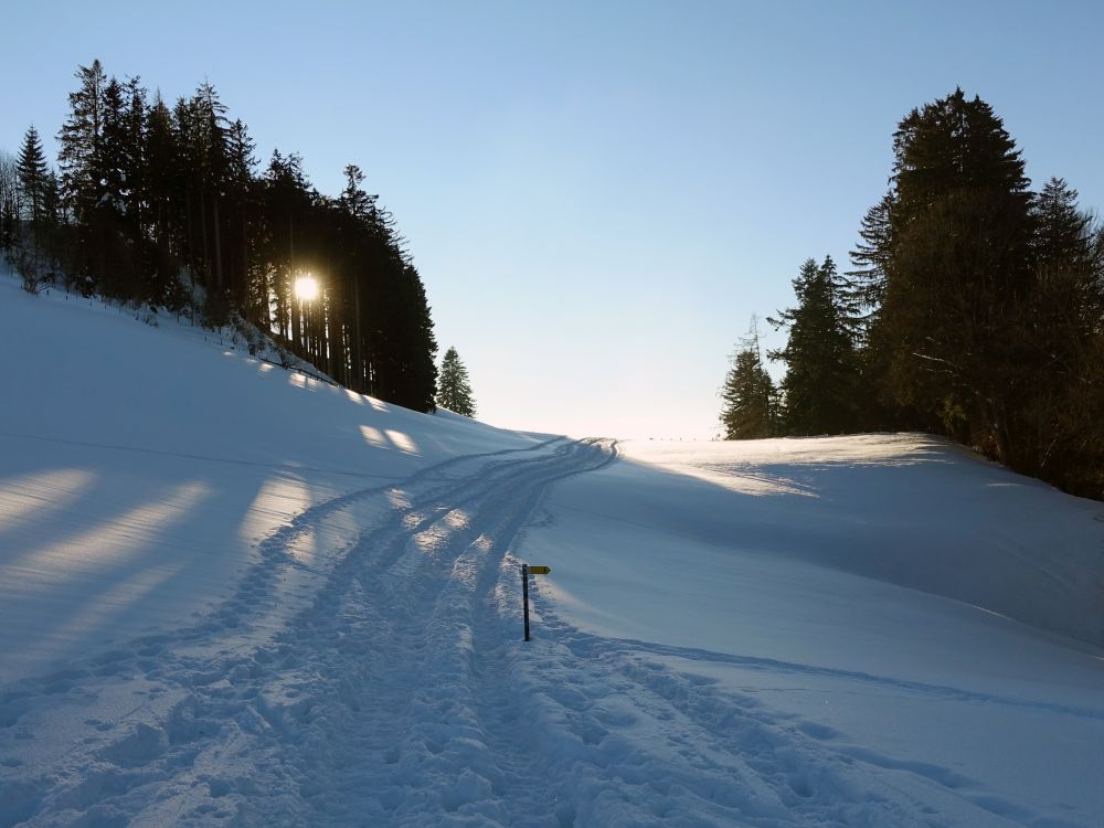 Spuren im Schnee