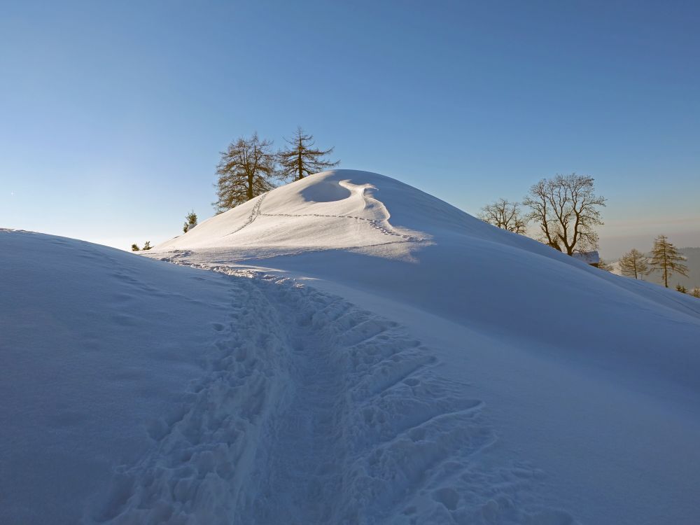 Spuren im Schnee