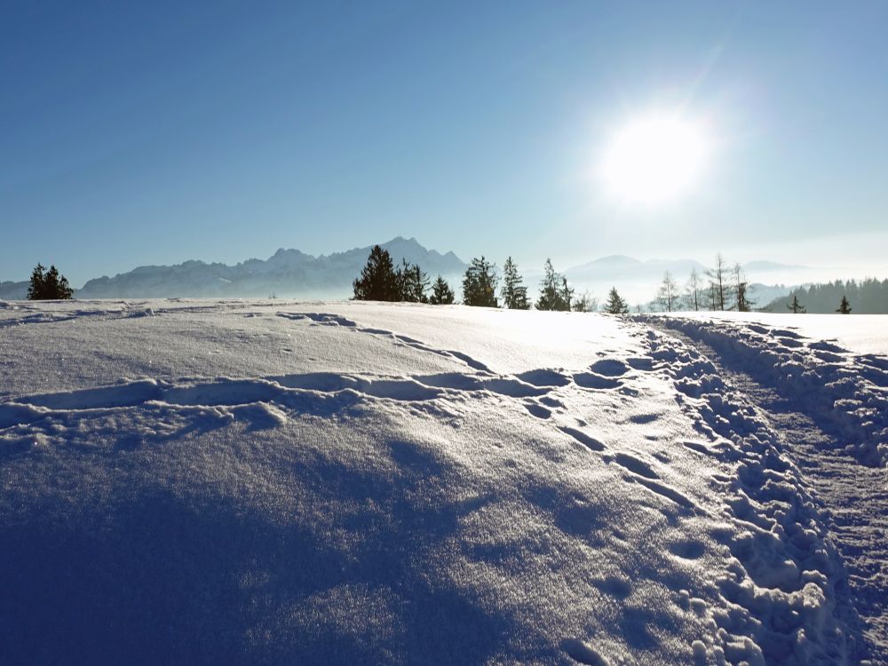 Altmann und Säntis mit Sonne