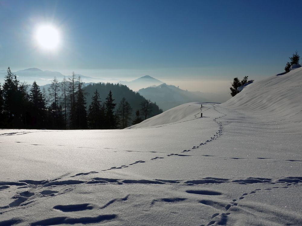 Winterlandschaft mit Sonne