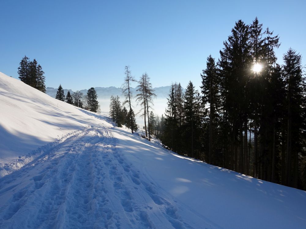 Spuren im Schnee