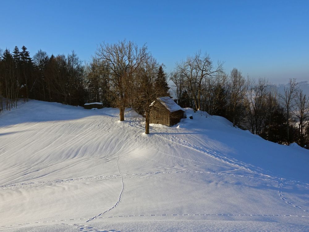 Schneelandschaft