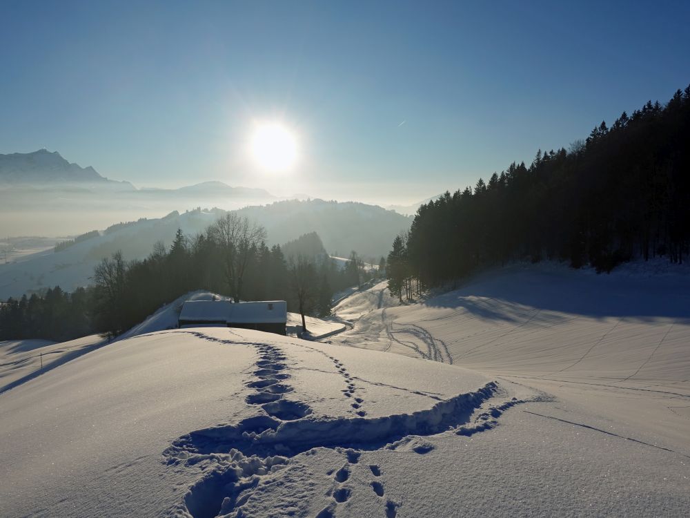 Spuren im Schnee mit Sonne