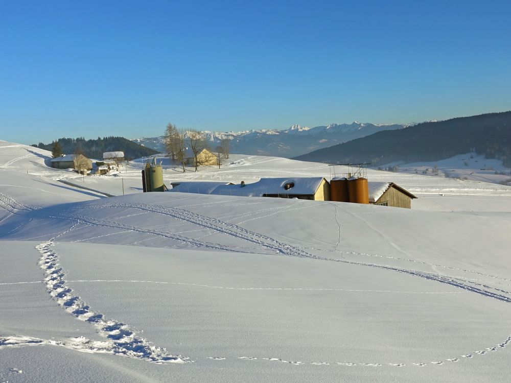 Bauernhöfe und Österreichische Alpen