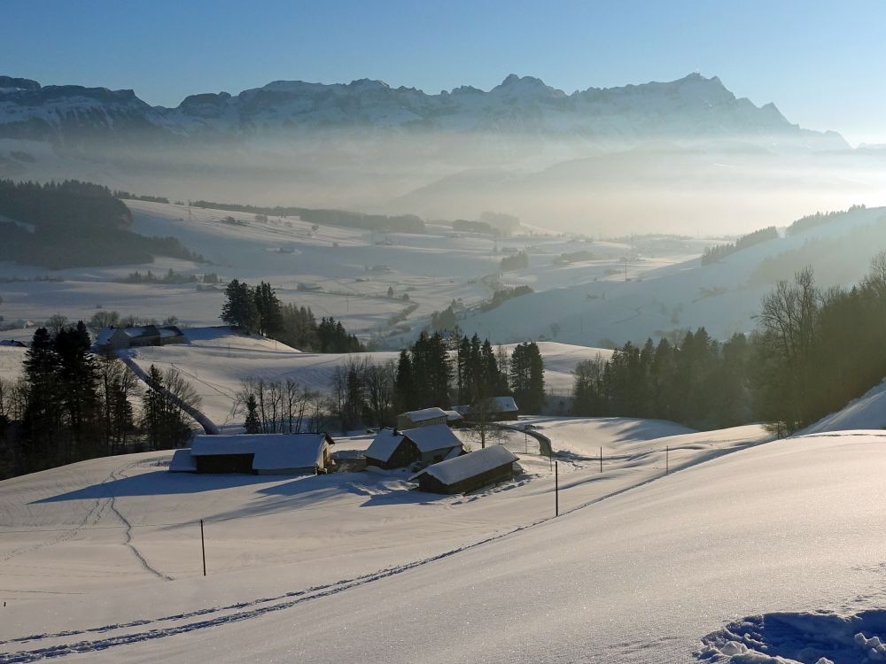 Blick Richtung Altmann und Säntis