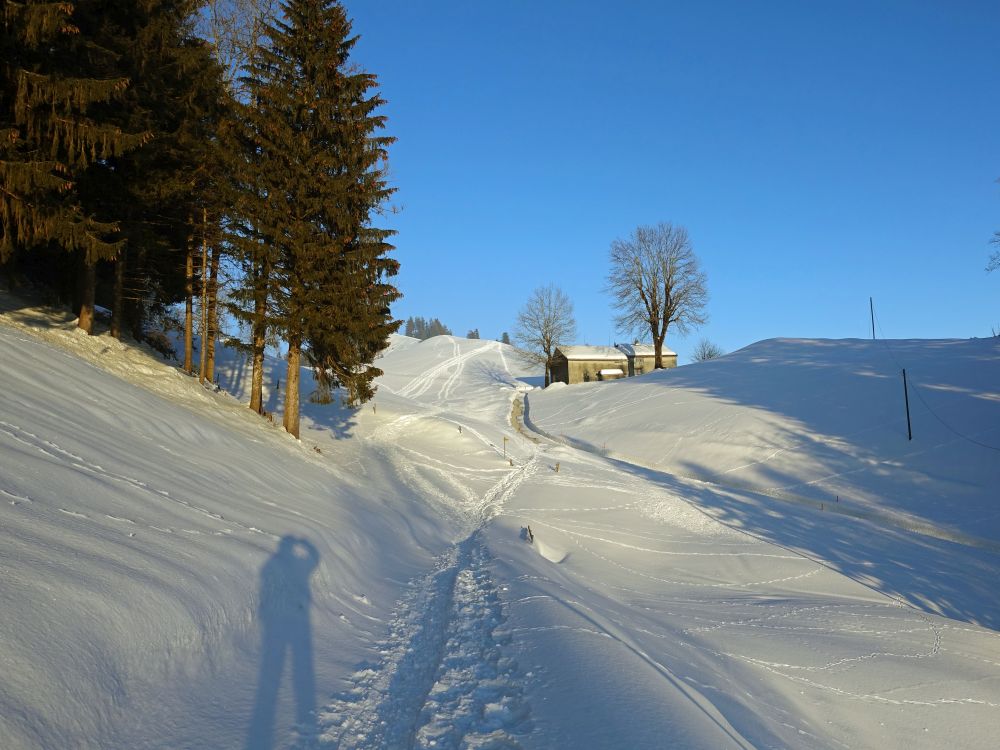 Spuren im Schnee bei Güetli