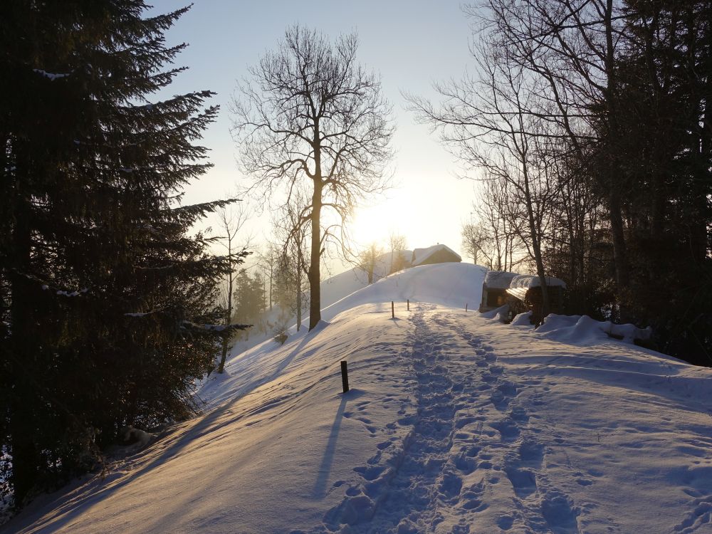 Spuren im Schnee