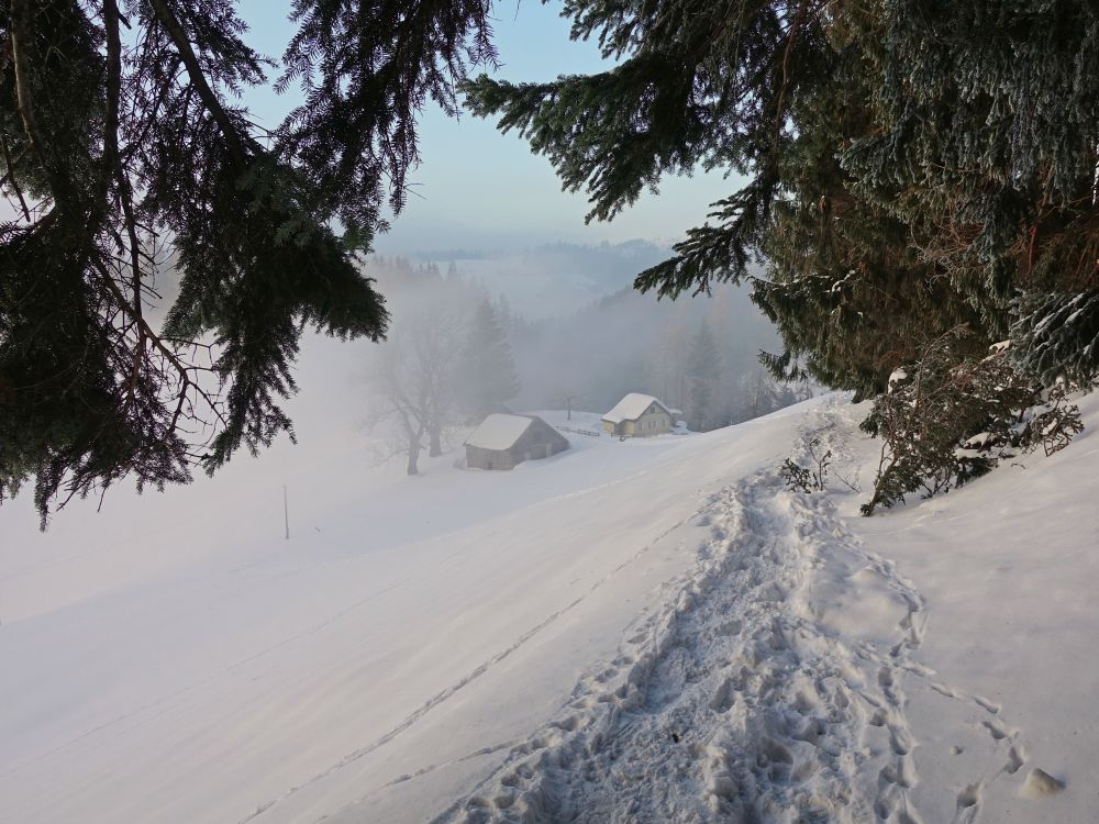 Scheune und Häuschen im Nebel