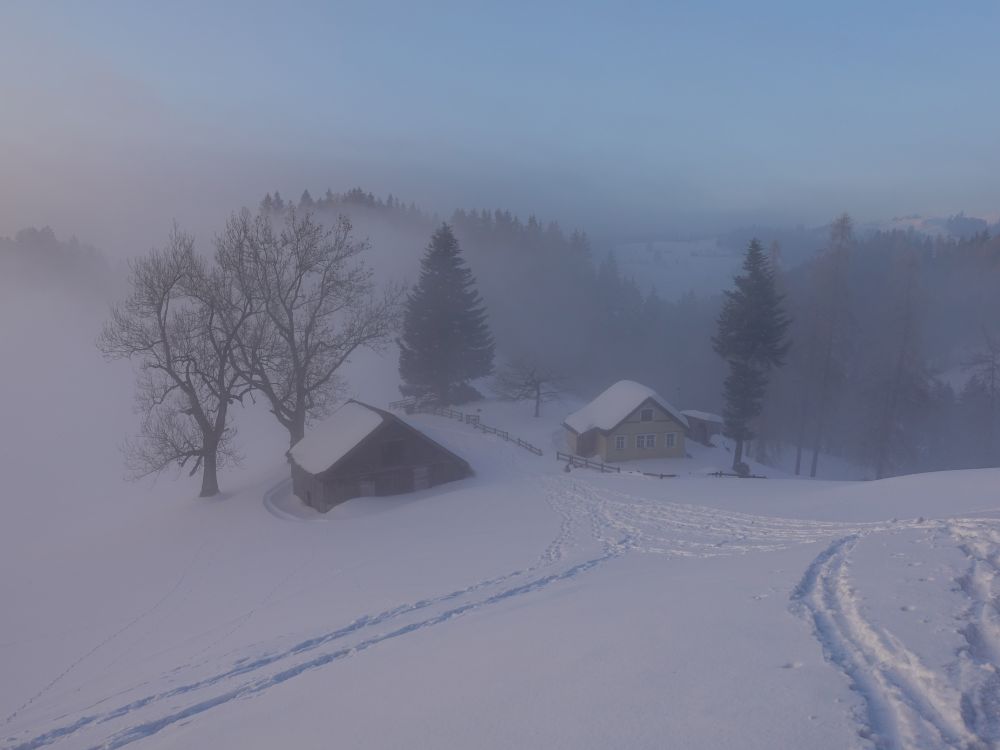 Scheune und Häuschen im Nebel