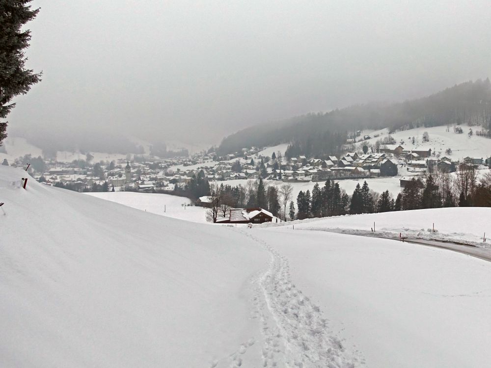 Bühler unterm Nebel