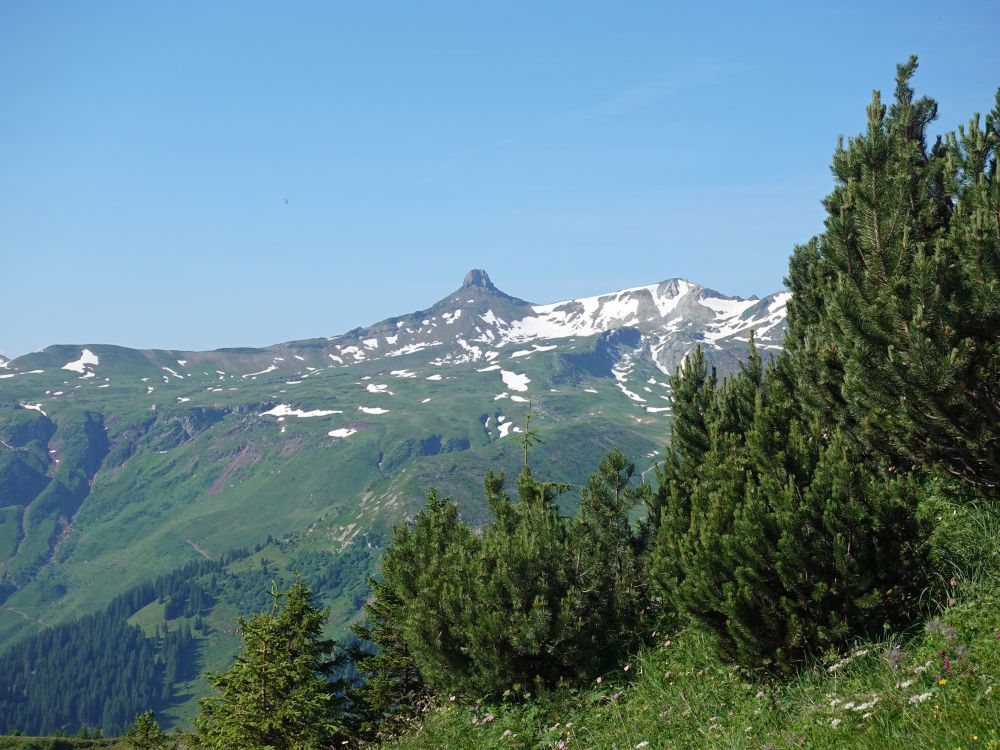 Blick zum Spitzmeilen