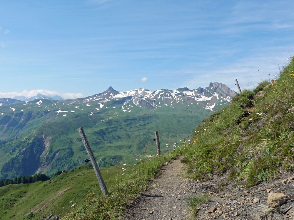 Spitzmeilen und Magerrain