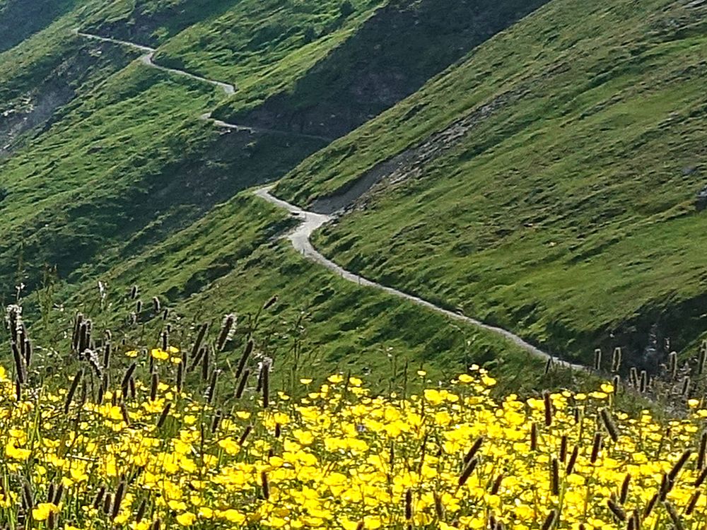 Bergweg unterm Ziger