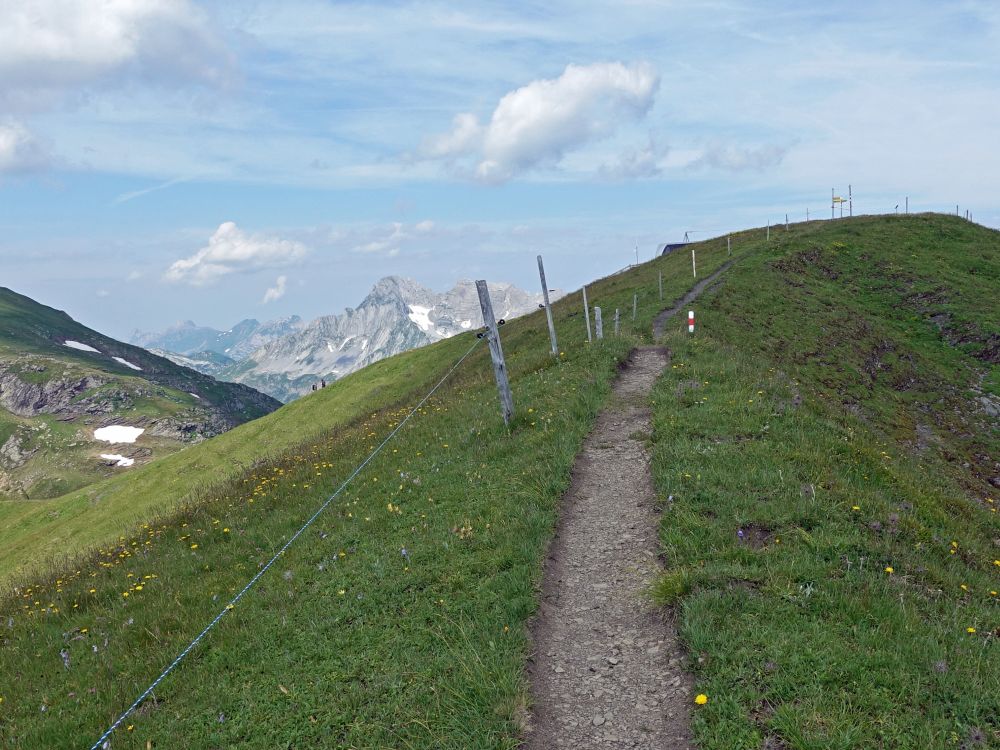 Bergweg auf den Leist