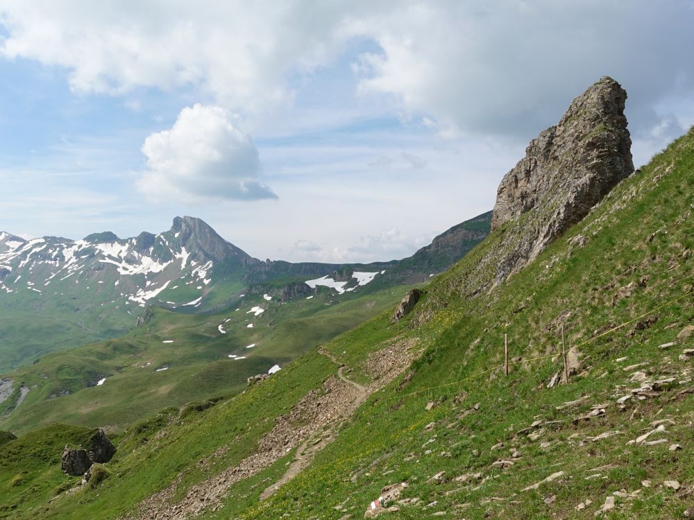 Magerrain und schräger Fels