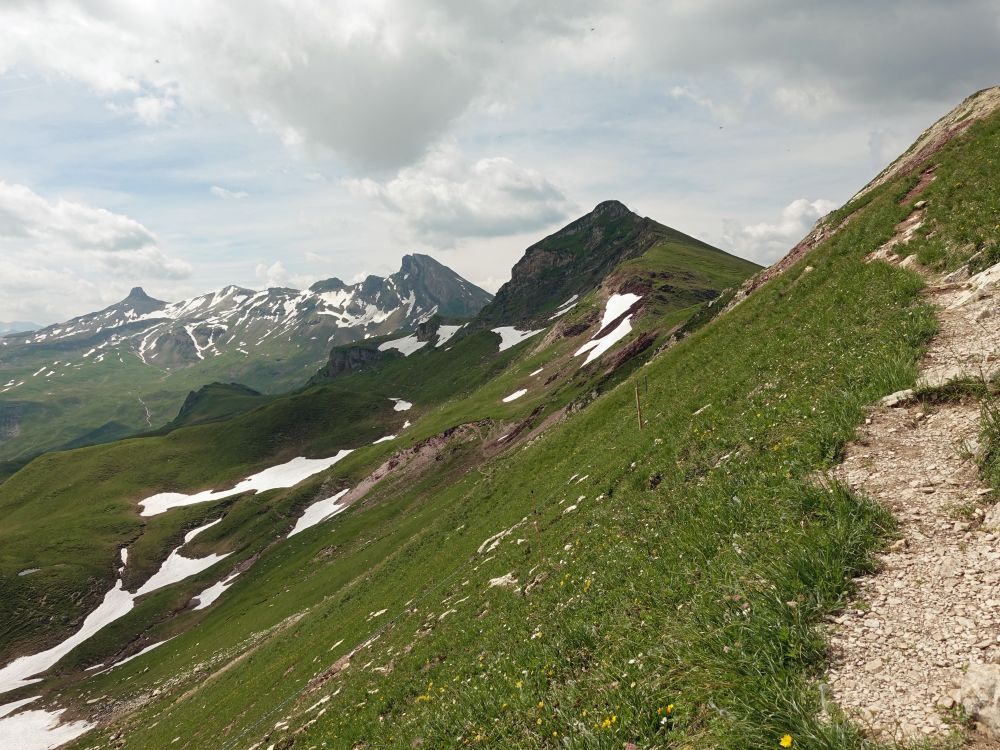 Spitzmeilen, Magerrain und Gulmen