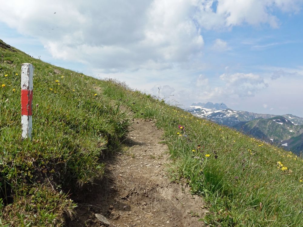 Bergweg und Mürtschenstock (re.)