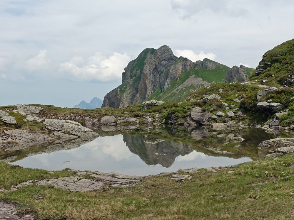 Sächsmoor spiegelt sich