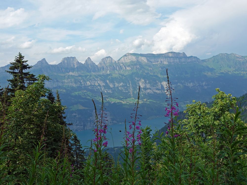 Walensee und Churfirsten