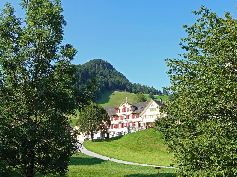 Ferienhaus Wädenswil