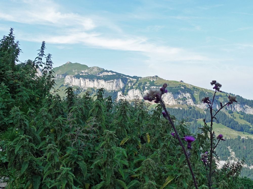 Schäfler und Ebenalp