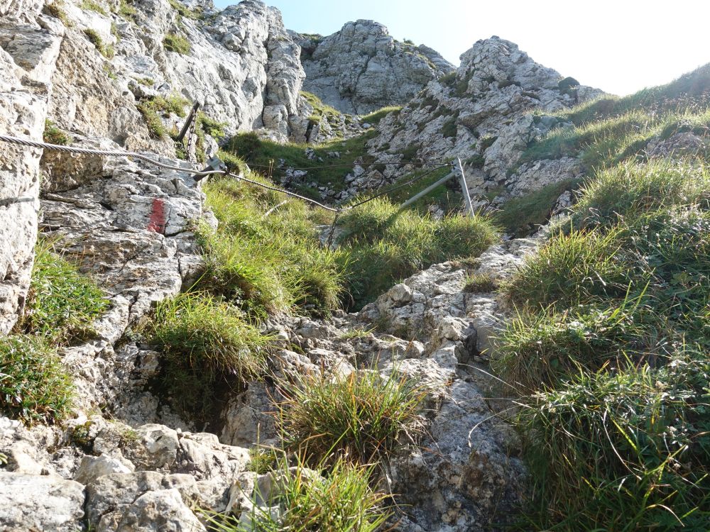 Aufstieg durch die Zahme Gocht