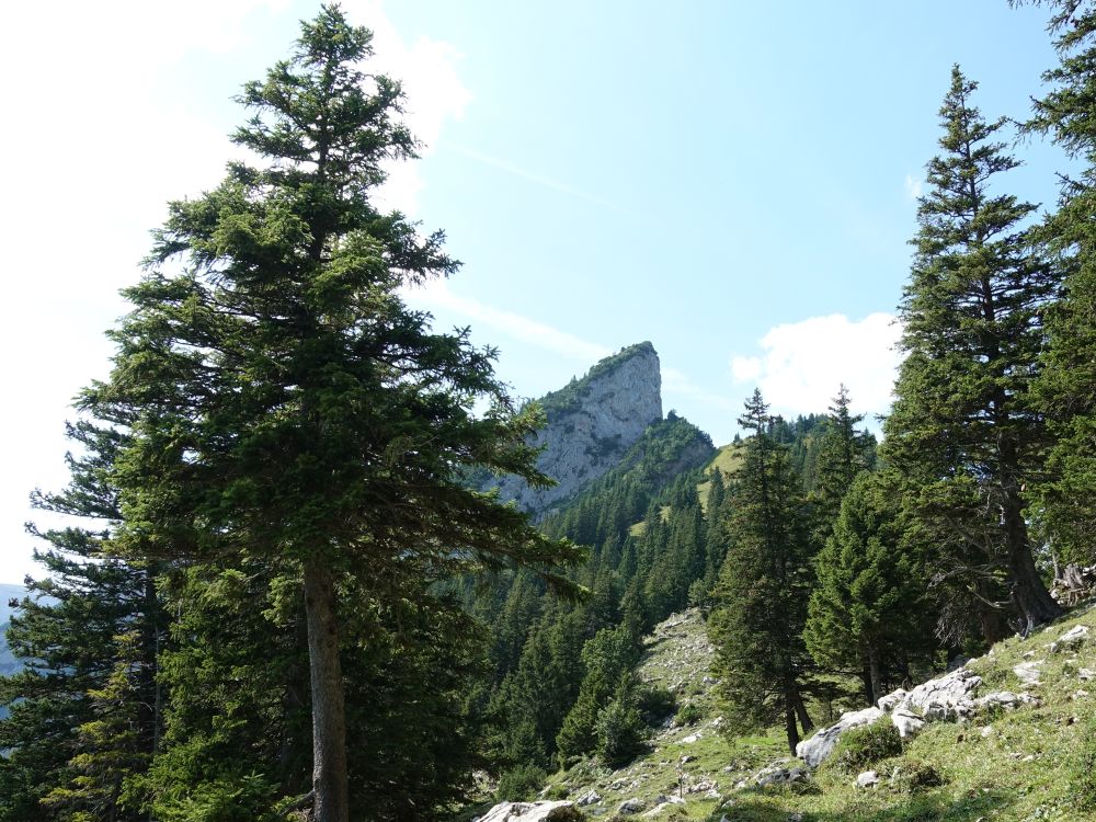 Bergspitze