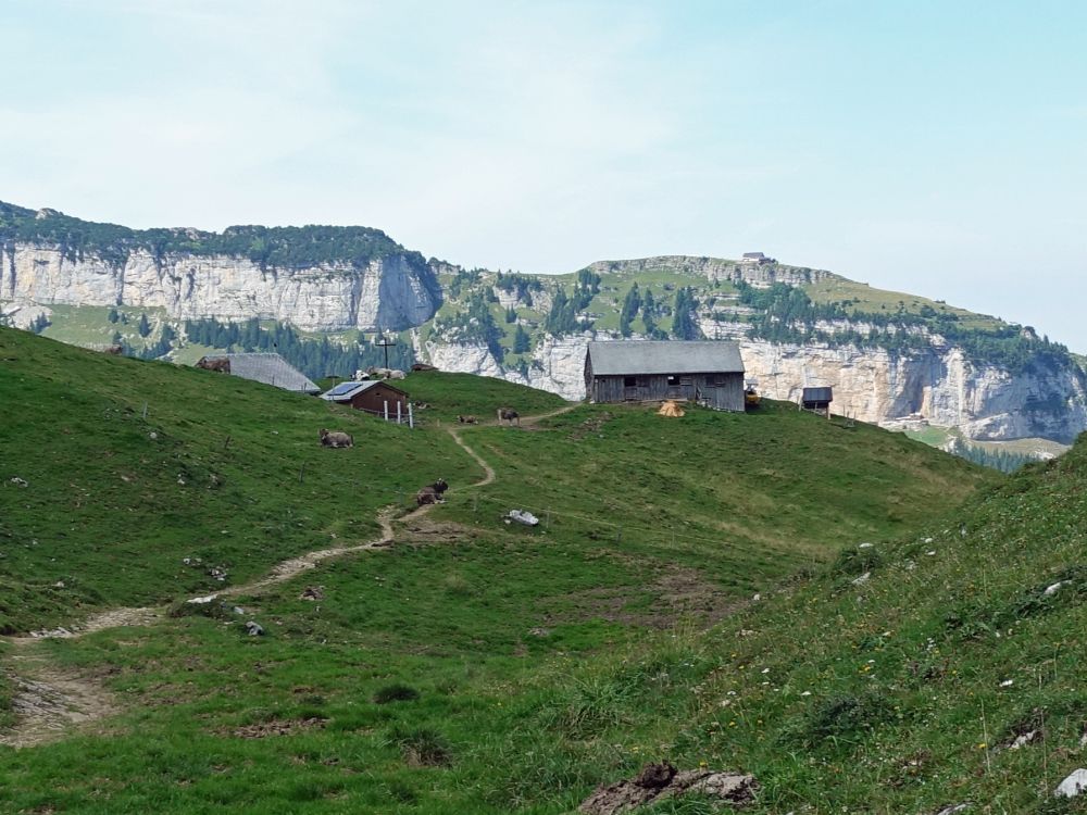 Alp Mans und Ebenalp