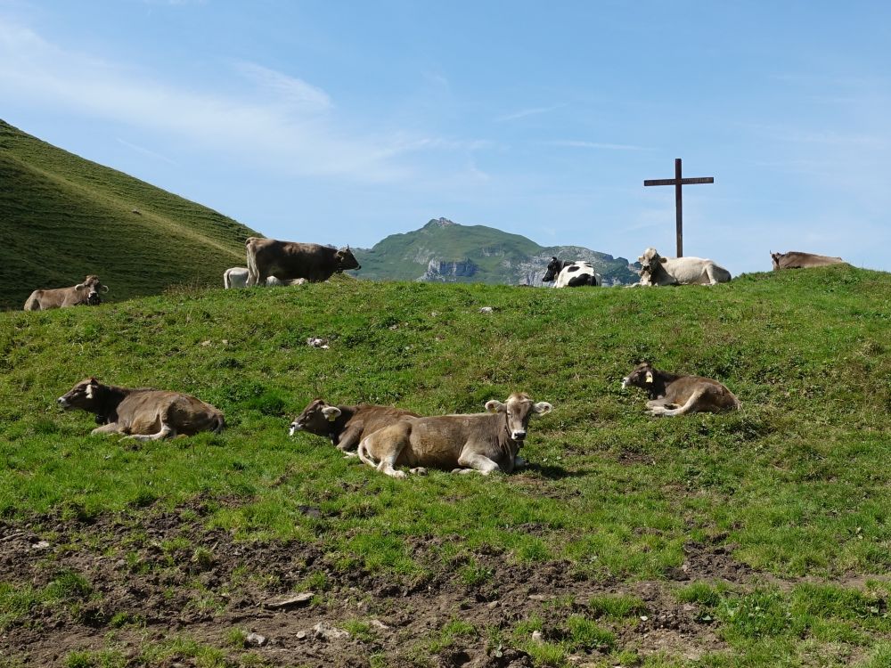 Blick zum Schäfler