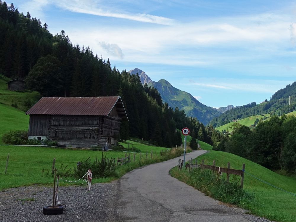 Zwerwaldstrasse und Widderstein